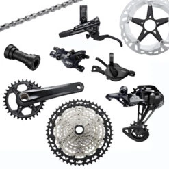 Shimano XT M8100 Gruppo MTB 1x12v